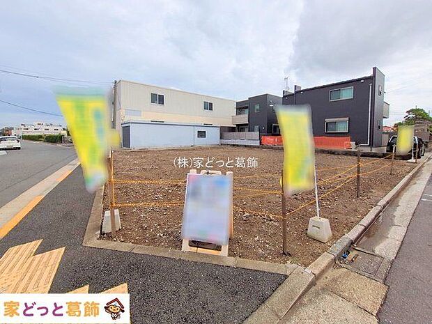 撮影日(2025-09-19 00:00:00)