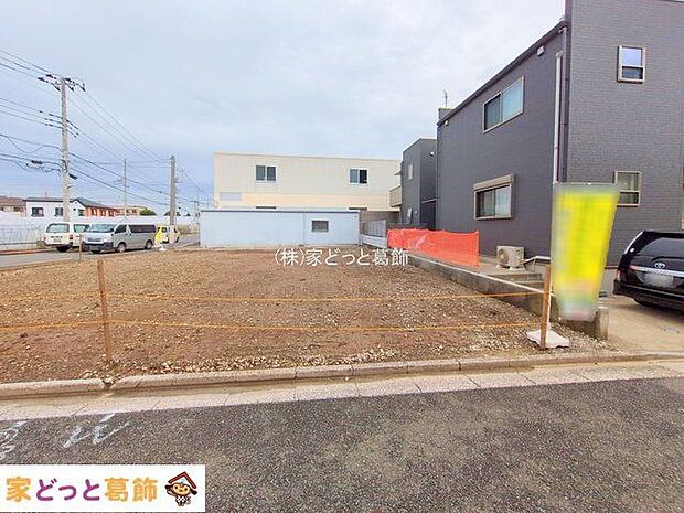 撮影日(2025-09-19 00:00:00)