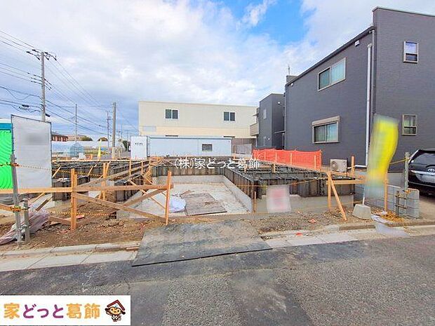 撮影日(2025-11-18)