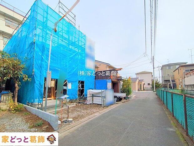 撮影日(2025-11-05 00:00:00)