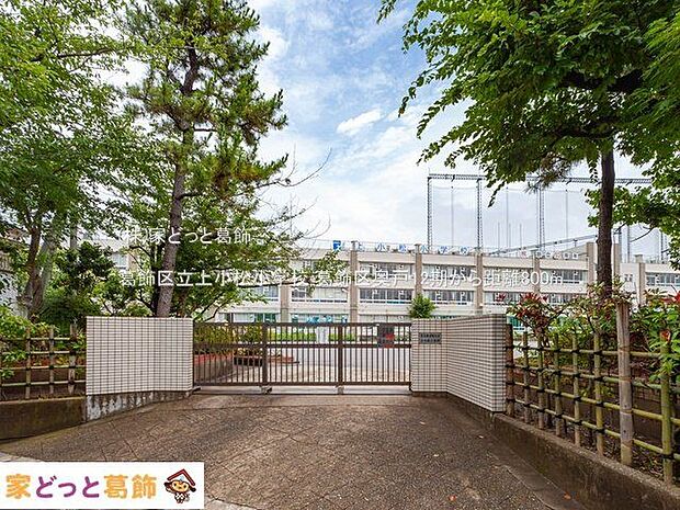 葛飾区立上小松小学校 撮影日(2021-07-05) 800m