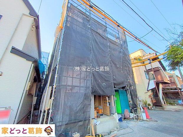 撮影日(2025-11-19)