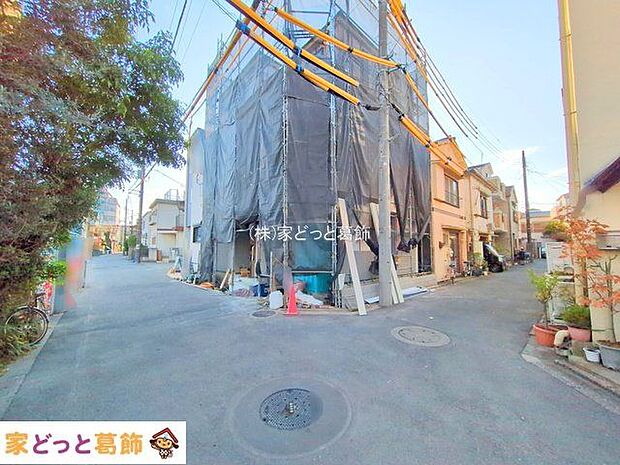 撮影日(2025-11-19)