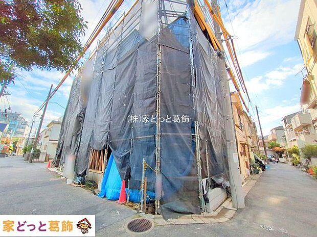 撮影日(2025-10-23 00:00:00)