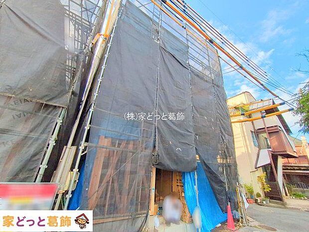 撮影日(2025-10-23 00:00:00)