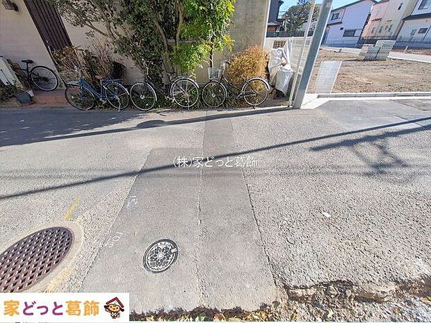 撮影日(2026-01-29 00:00:00)