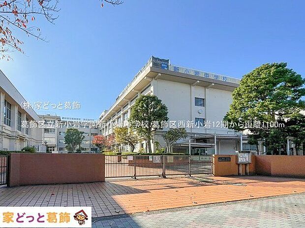 葛飾区立新小岩学園新小岩中学校 撮影日(2023-11-16) 1100m