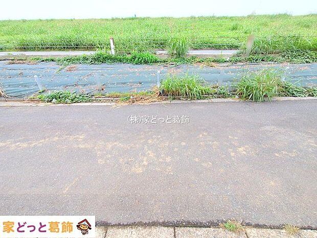 撮影日(2025-10-20 00:00:00)