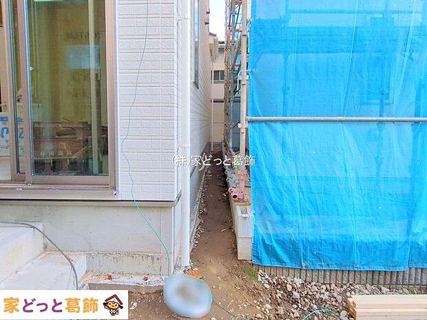 撮影日(2025-10-28 00:00:00)