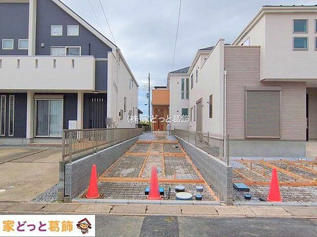 撮影日(2025-11-18)