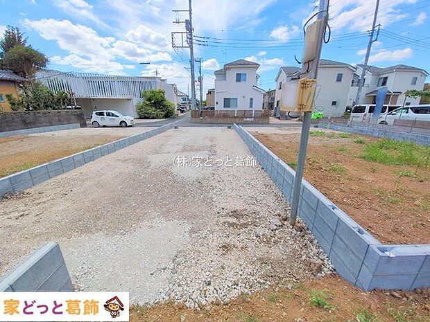 撮影日(2025-09-02 00:00:00)