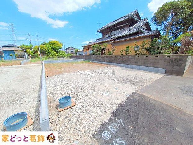 撮影日(2025-09-02 00:00:00)