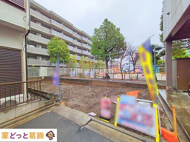 撮影日(2025-12-24 00:00:00)