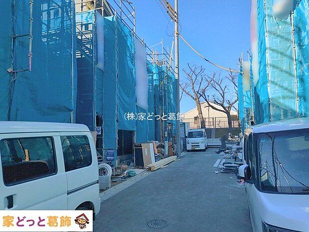 撮影日(2026-01-22)