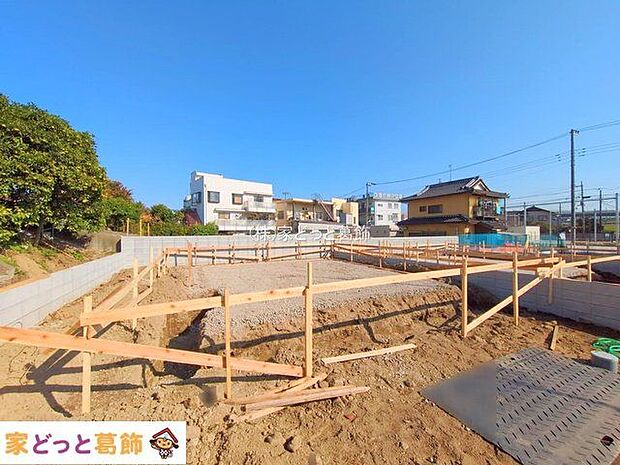 撮影日(2025-11-07 00:00:00)