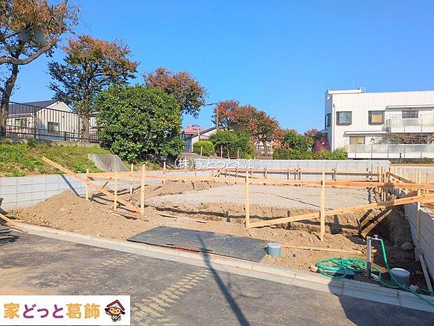 撮影日(2025-11-07 00:00:00)