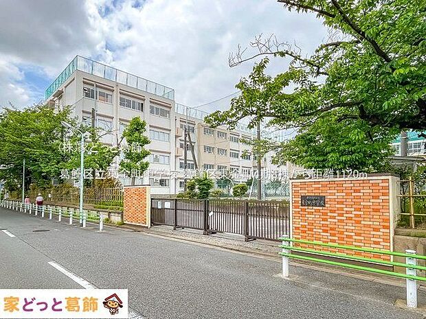 葛飾区立東金町中学校 撮影日(2022-05-12) 1120m