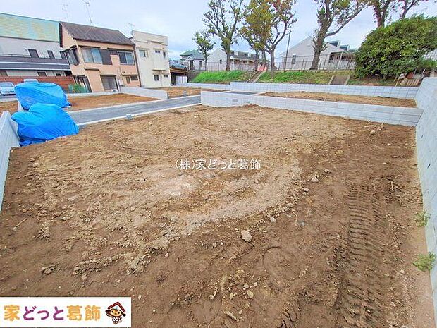 撮影日(2025-10-21 00:00:00)