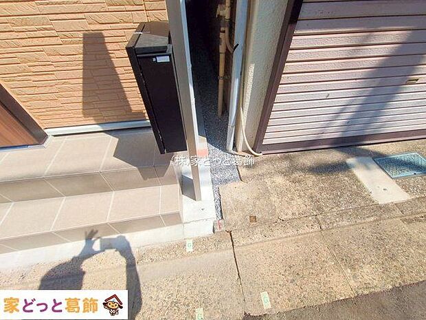 撮影日(2025-08-27 00:00:00)