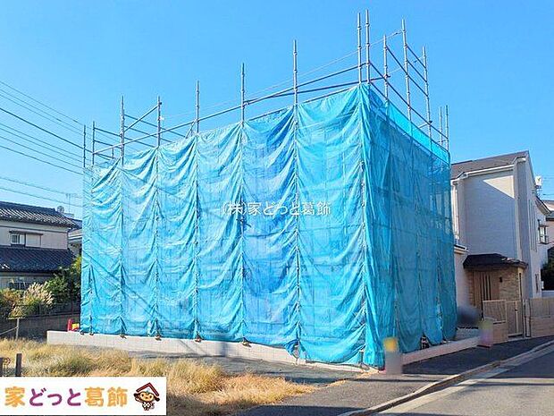 撮影日(2025-11-14)