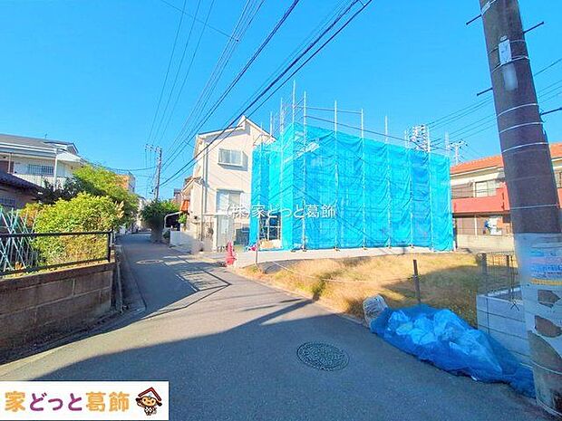 撮影日(2025-11-14)