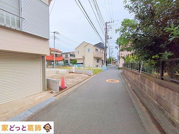 撮影日(2025-10-21 00:00:00)