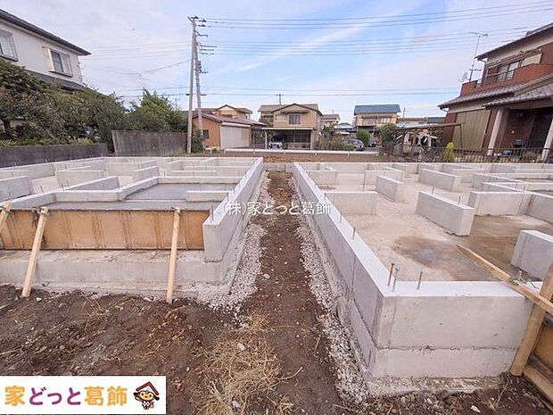 撮影日(2025-11-11 00:00:00)