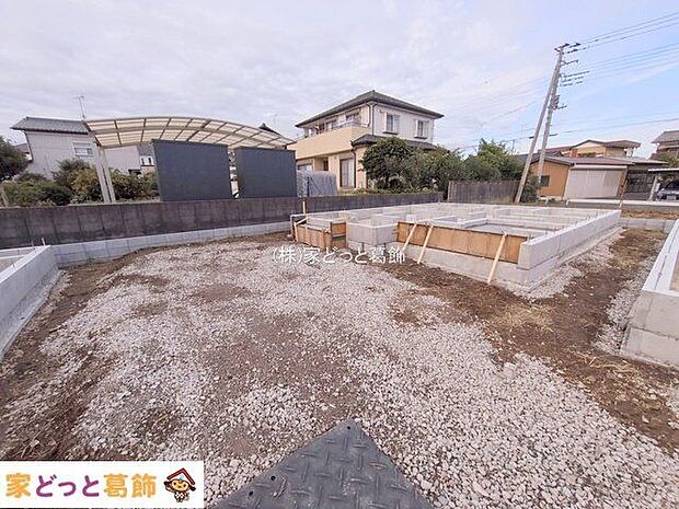 撮影日(2025-11-11)