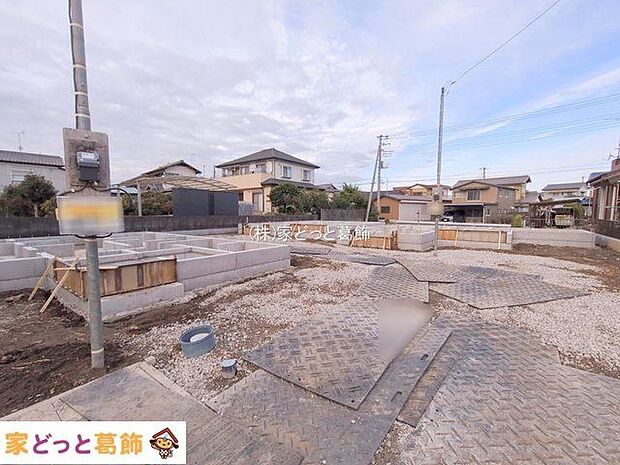 撮影日(2025-11-11 00:00:00)