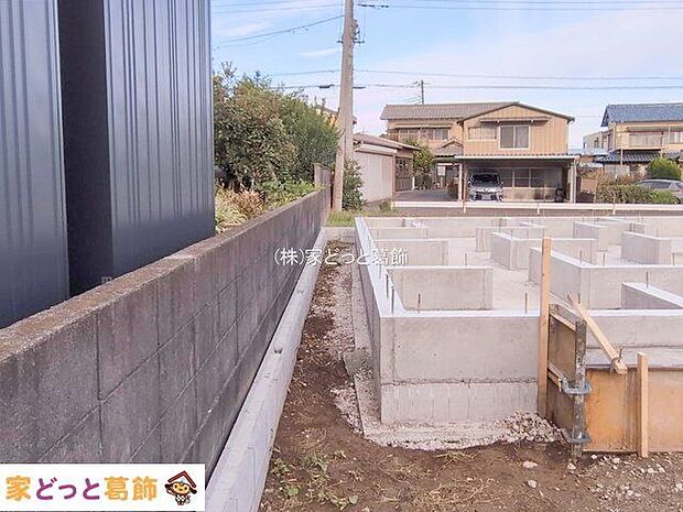 撮影日(2025-11-11 00:00:00)