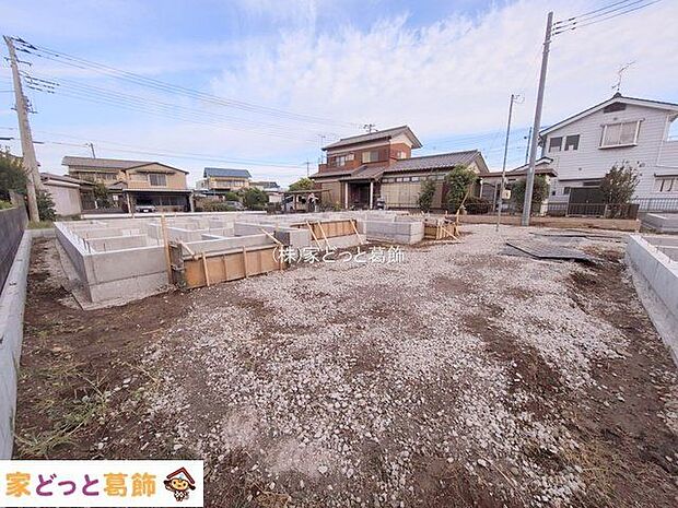 撮影日(2025-11-11 00:00:00)