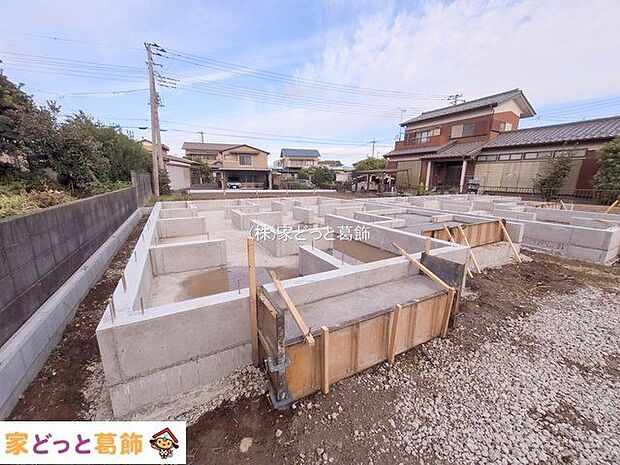 撮影日(2025-11-11 00:00:00)