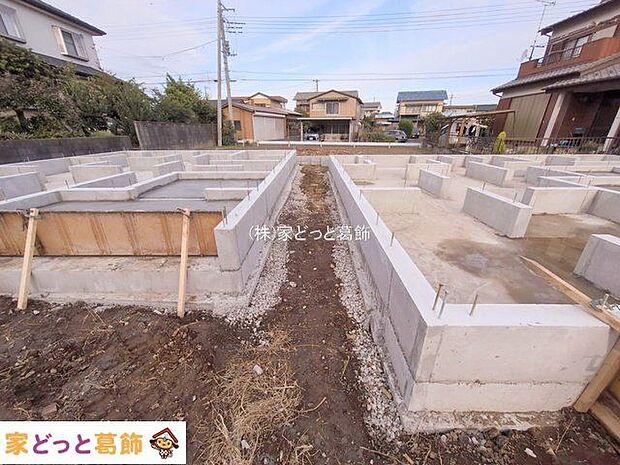 撮影日(2025-11-11 00:00:00)