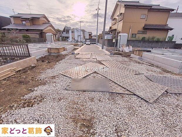 撮影日(2025-11-11 00:00:00)