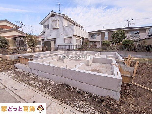 撮影日(2025-11-11 00:00:00)