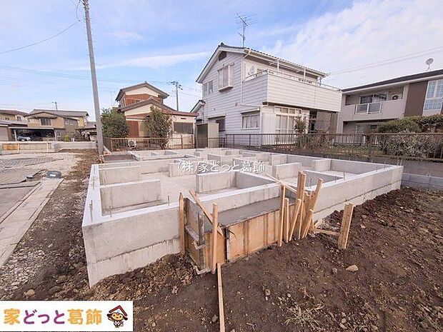 撮影日(2025-11-11 00:00:00)