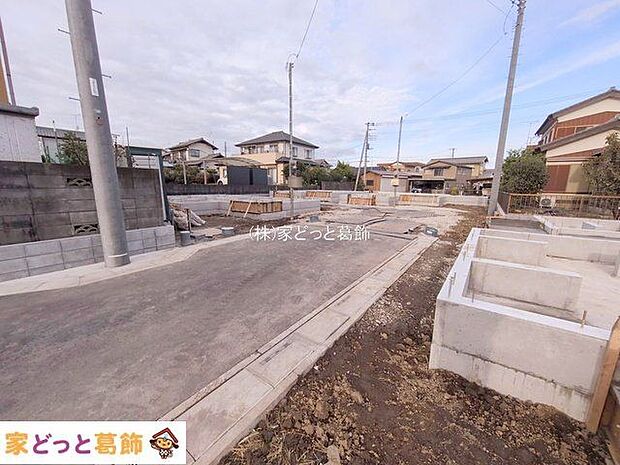 撮影日(2025-11-11 00:00:00)