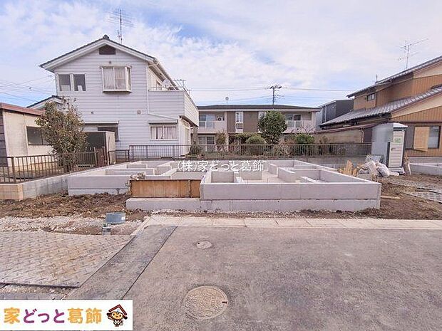 撮影日(2025-11-11 00:00:00)