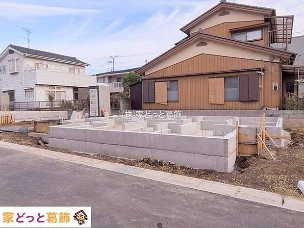 撮影日(2025-11-11 00:00:00)