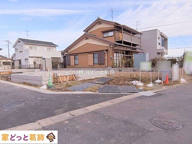 撮影日(2025-11-11 00:00:00)