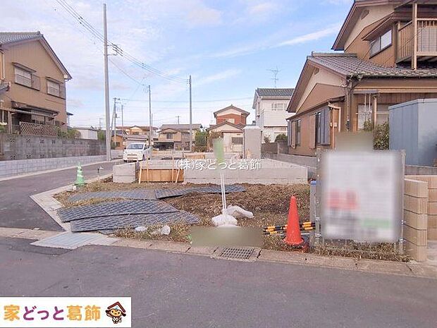 撮影日(2025-11-11 00:00:00)