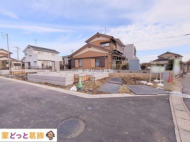 撮影日(2025-11-11)