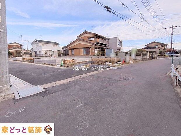 撮影日(2025-11-11)