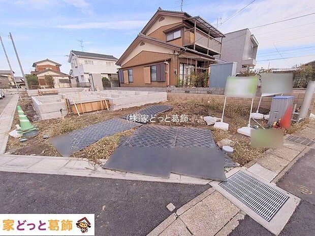 撮影日(2025-11-11 00:00:00)