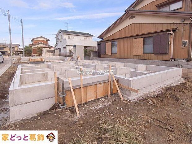 撮影日(2025-11-11 00:00:00)