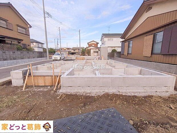 撮影日(2025-11-11 00:00:00)