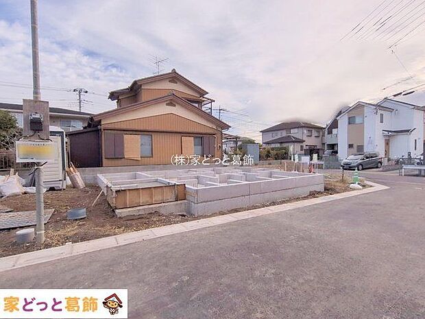 撮影日(2025-11-11 00:00:00)