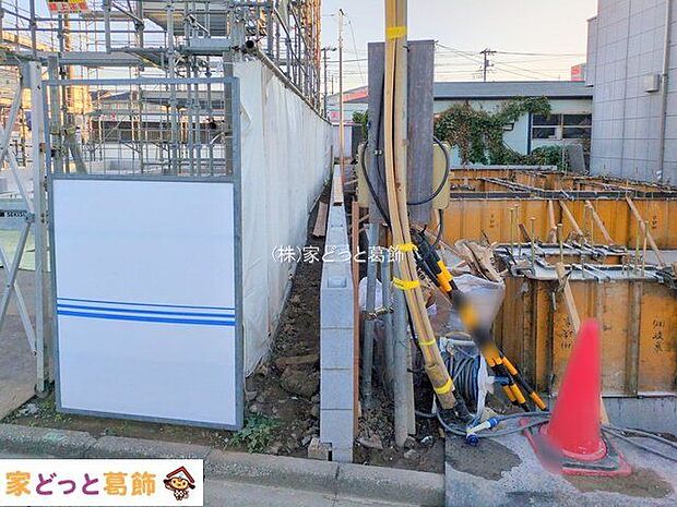 撮影日(2025-11-26 00:00:00)