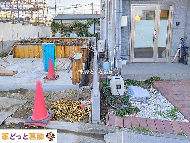 撮影日(2025-11-26 00:00:00)