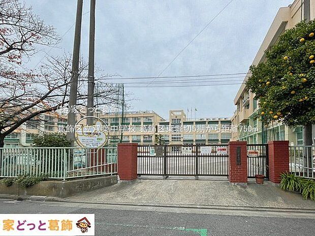 葛飾区立双葉中学校 撮影日(2023-12-05) 750m